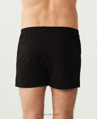 Боксерки U.S. Polo ASSN 80054